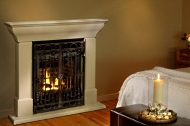 gas fireplace insert