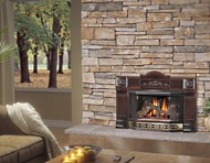 gas fireplace insert