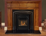 gas fireplace insert