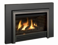 gas fireplace insert