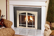 gas fireplace insert