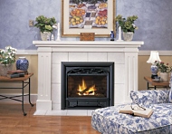 gas fireplace insert