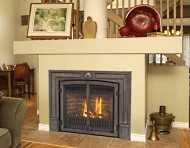 gas fireplace insert