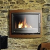 wood fireplace insert