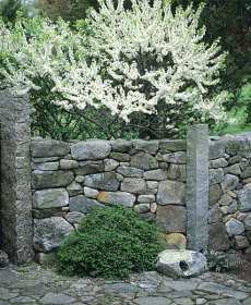 dry stack stone