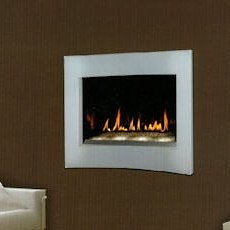 napoleon fireplaces